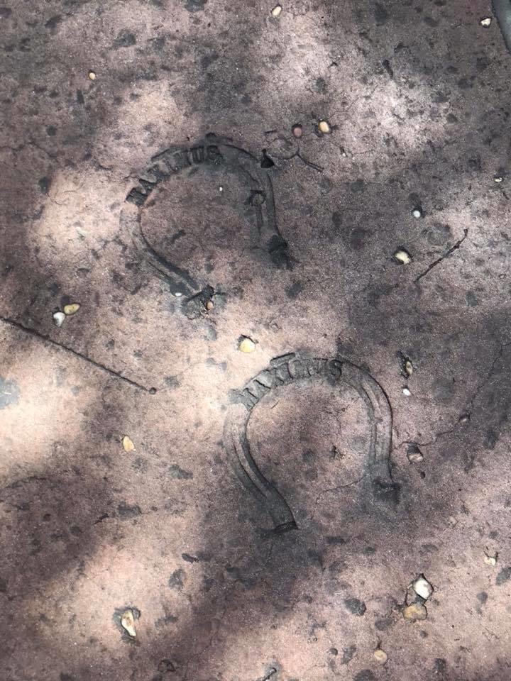 Two hooves have been imprinted in the concrete with the name Maximus at the top of each